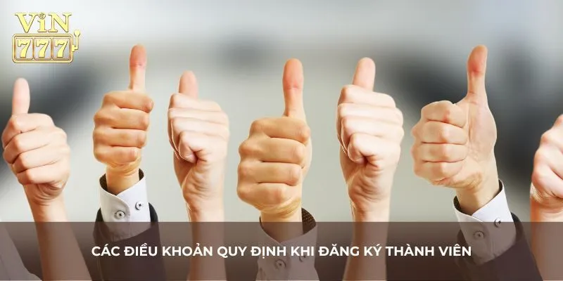 Nội dung chi tiết về điều kiện điều khoản Vin777 